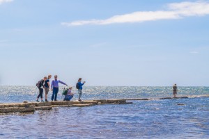 Photography Workshops