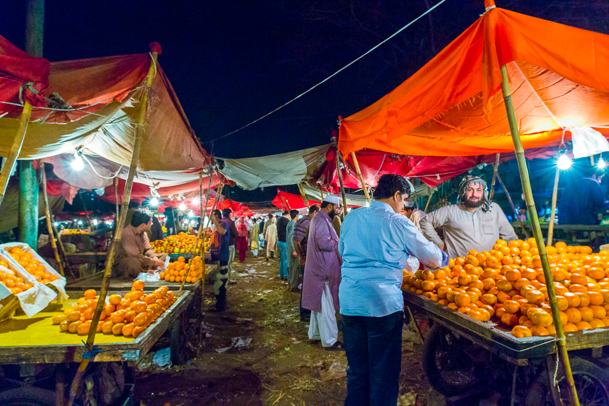 Portrait of Empress Market Dr Rehan Zia FRPS FRSA
